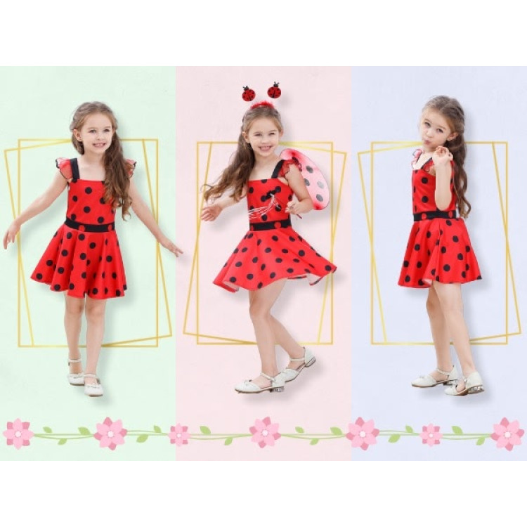 Σετ στολή Ladybug Πασχαλίτσα