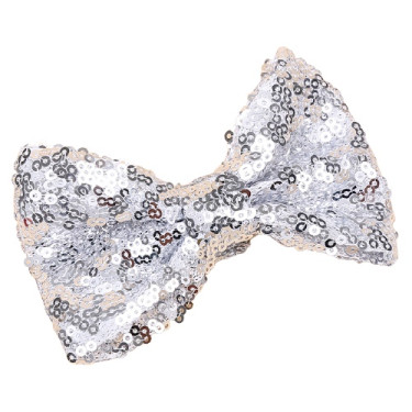 Τσιμπιδάκι για τα μαλλιά Ασημί