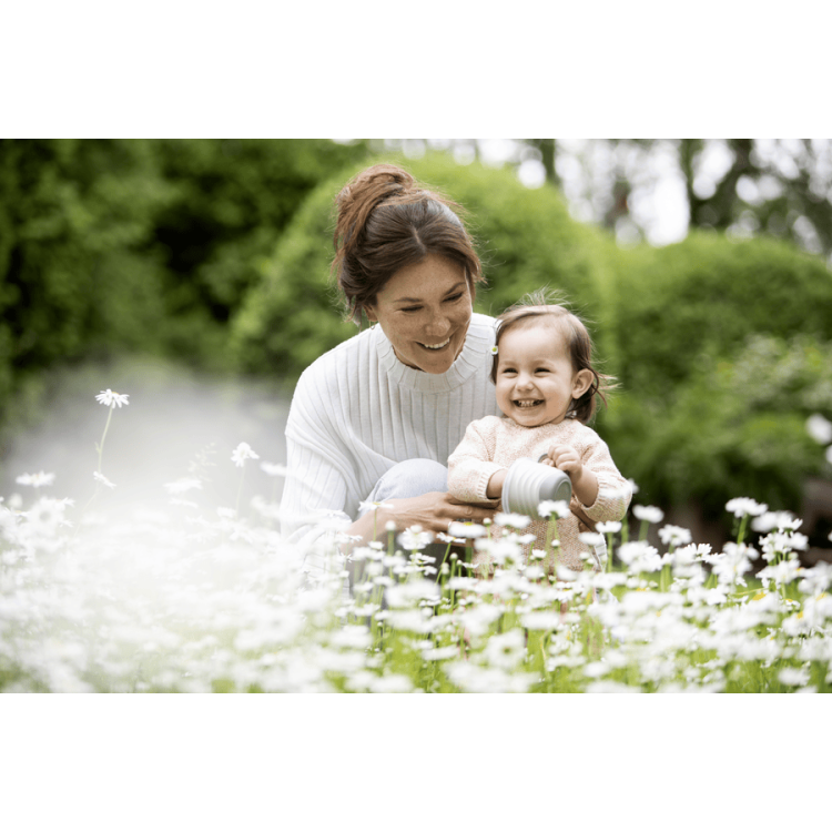 Eat Green Snack box 2in1 Grey