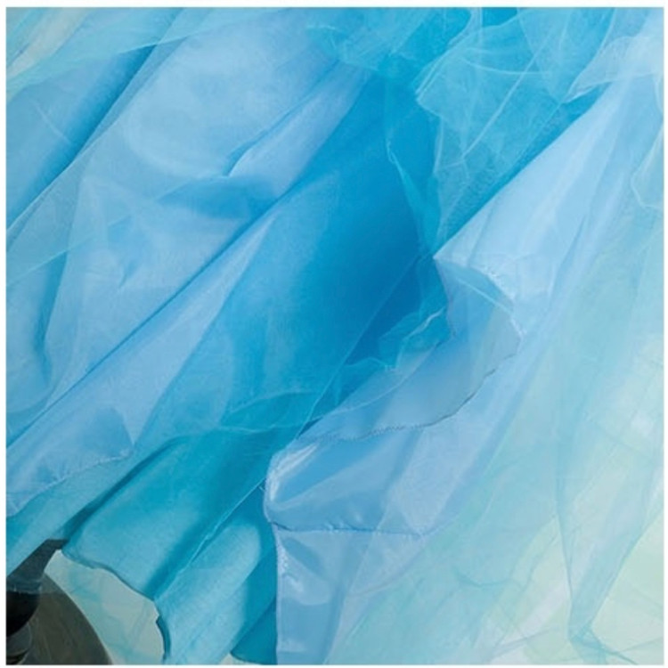 Ωραία κοιμωμένη Παιδική στολή Μπλε