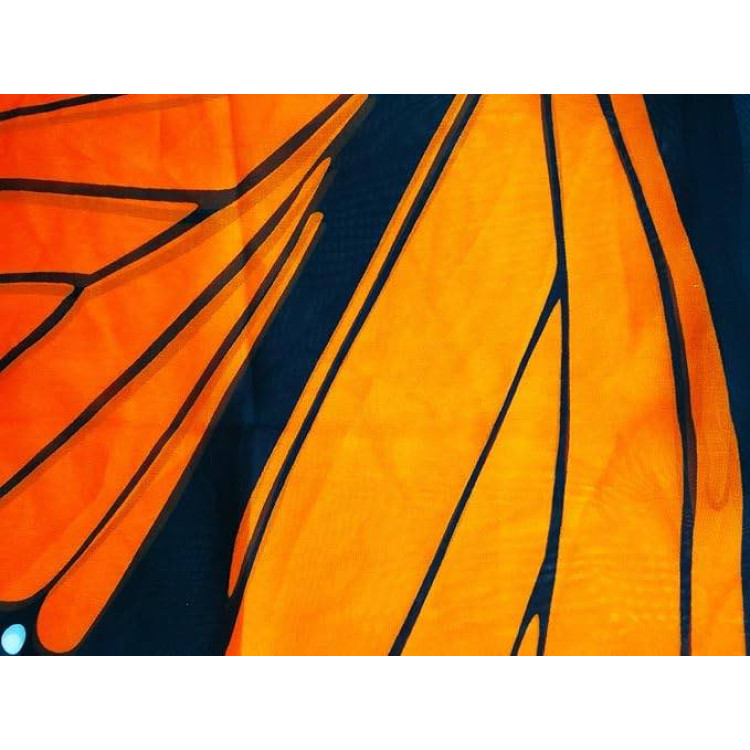 Φτερά πεταλούδας πορτοκαλί