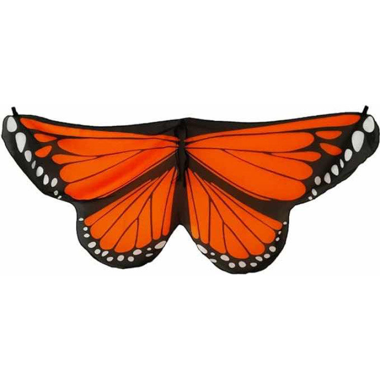 Φτερά πεταλούδας πορτοκαλί